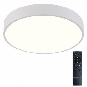 Накладной светильник Natali Kovaltseva  LED LAMPS 81112/5C в Чебаркуле - chebarkul.ok-mebel.com | фото 2