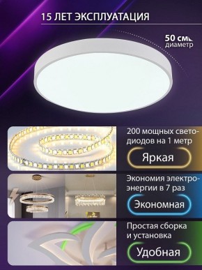 Накладной светильник Natali Kovaltseva  LED LAMPS 81112/5C в Чебаркуле - chebarkul.ok-mebel.com | фото 4