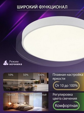 Накладной светильник Natali Kovaltseva  LED LAMPS 81112/5C в Чебаркуле - chebarkul.ok-mebel.com | фото 5