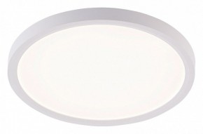 Накладной светильник Natali Kovaltseva PLAIN LED LAMPS 81113/2C в Чебаркуле - chebarkul.ok-mebel.com | фото