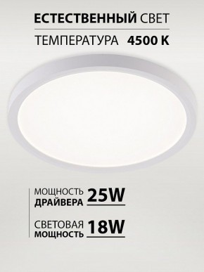 Накладной светильник Natali Kovaltseva PLAIN LED LAMPS 81113/2C в Чебаркуле - chebarkul.ok-mebel.com | фото 3