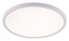 Накладной светильник Natali Kovaltseva PLAIN LED LAMPS 81113/3C в Чебаркуле - chebarkul.ok-mebel.com | фото