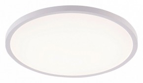 Накладной светильник Natali Kovaltseva PLAIN LED LAMPS 81113/5C в Чебаркуле - chebarkul.ok-mebel.com | фото