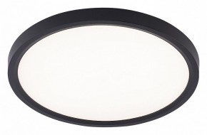 Накладной светильник Natali Kovaltseva PLAIN LED LAMPS 81114/2C в Чебаркуле - chebarkul.ok-mebel.com | фото