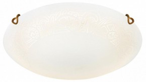 Накладной светильник Sonex Ammonite 7602/DL в Чебаркуле - chebarkul.ok-mebel.com | фото 3