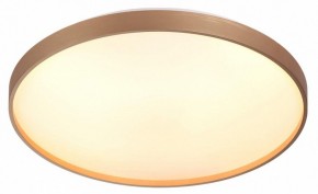 Накладной светильник Sonex Gaby 7783/EL в Чебаркуле - chebarkul.ok-mebel.com | фото 5