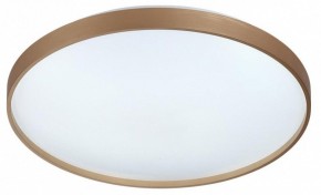 Накладной светильник Sonex Gaby 7783/EL в Чебаркуле - chebarkul.ok-mebel.com | фото 6