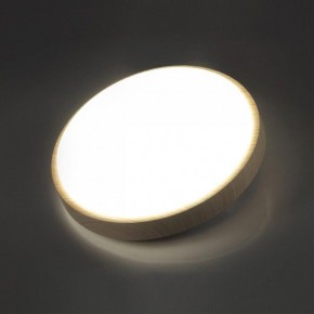 Накладной светильник Sonex Losta 7607/AL в Чебаркуле - chebarkul.ok-mebel.com | фото 3