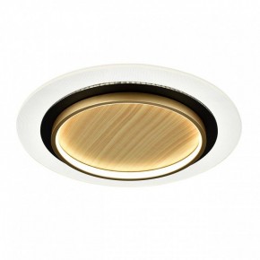 Накладной светильник Sonex Sunny 7731/80L в Чебаркуле - chebarkul.ok-mebel.com | фото 4