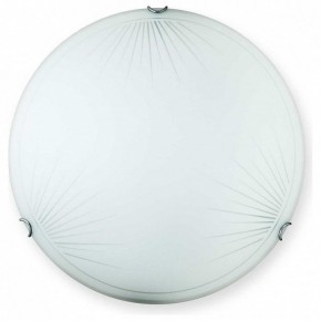 Накладной светильник TopLight Wifa TL9142Y-00WH в Чебаркуле - chebarkul.ok-mebel.com | фото