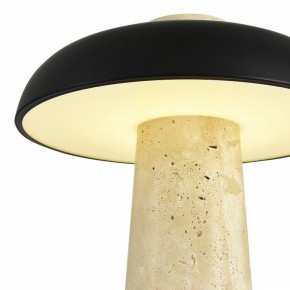 Настольная лампа декоративная ST-Luce Earthy SL1194.424.01 в Чебаркуле - chebarkul.ok-mebel.com | фото 6