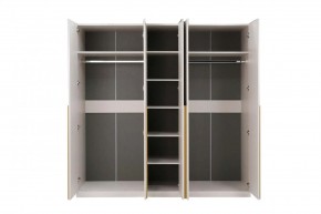 НИКОЛЬ 25 Шкаф 5-ти створчатый в Чебаркуле - chebarkul.ok-mebel.com | фото 3