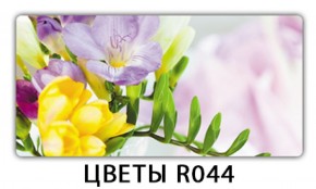 Обеденный раздвижной стол Бриз с фотопечатью Цветы R044 в Чебаркуле - chebarkul.ok-mebel.com | фото 11