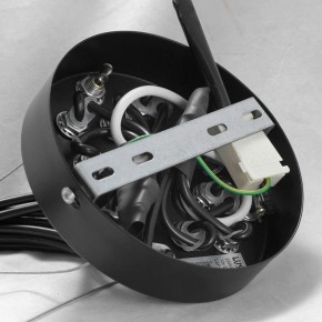 Подвесная люстра Lussole Seneca GRLSP-8177 в Чебаркуле - chebarkul.ok-mebel.com | фото 10