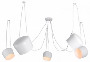 Подвесная люстра Lussole Shirley LSP-8175 в Чебаркуле - chebarkul.ok-mebel.com | фото