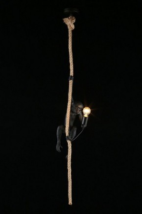 Подвесной светильник Aployt Magali APL.309.16.01 в Чебаркуле - chebarkul.ok-mebel.com | фото 3