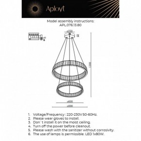 Подвесной светильник Aployt Oriann APL.076.13.80 в Чебаркуле - chebarkul.ok-mebel.com | фото 2