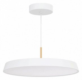 Подвесной светильник Arlight ELEGANT 033925(1) в Чебаркуле - chebarkul.ok-mebel.com | фото 2