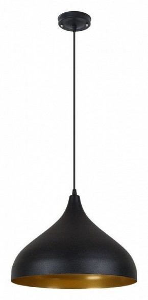 Подвесной светильник Arte Lamp Carmel A7076SP-1BK в Чебаркуле - chebarkul.ok-mebel.com | фото 2