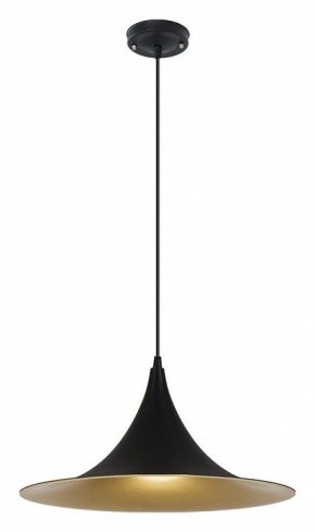 Подвесной светильник Arte Lamp Carmel A7080SP-1BK в Чебаркуле - chebarkul.ok-mebel.com | фото 2
