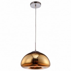 Подвесной светильник Arte Lamp Swift A8041SP-1GO в Чебаркуле - chebarkul.ok-mebel.com | фото 2