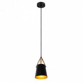 Подвесной светильник Arte Lamp Thomas A7032SP-1BK в Чебаркуле - chebarkul.ok-mebel.com | фото 3