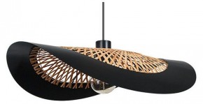 Подвесной светильник Arte Lamp Woodstock A7059SP-1BK в Чебаркуле - chebarkul.ok-mebel.com | фото