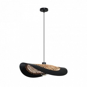 Подвесной светильник Arte Lamp Woodstock A7059SP-1BK в Чебаркуле - chebarkul.ok-mebel.com | фото 2