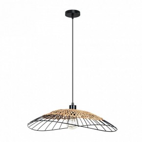 Подвесной светильник Arte Lamp Woodstock A7061SP-1BK в Чебаркуле - chebarkul.ok-mebel.com | фото 2