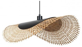 Подвесной светильник Arte Lamp Woodstock A7063SP-1BK в Чебаркуле - chebarkul.ok-mebel.com | фото