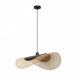 Подвесной светильник Arte Lamp Woodstock A7063SP-1BK в Чебаркуле - chebarkul.ok-mebel.com | фото 2