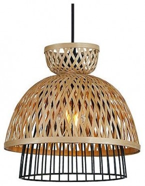 Подвесной светильник Arte Lamp Woodstock A7070SP-1BK в Чебаркуле - chebarkul.ok-mebel.com | фото 2