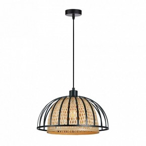 Подвесной светильник Arte Lamp Woodstock A7071SP-1BK в Чебаркуле - chebarkul.ok-mebel.com | фото