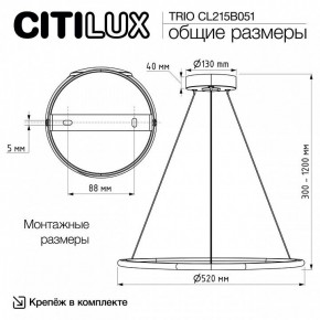 Подвесной светильник Citilux Trio CL215B051 в Чебаркуле - chebarkul.ok-mebel.com | фото 8
