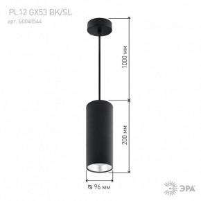 Подвесной светильник Эра  PL12 GX53 BK/SL в Чебаркуле - chebarkul.ok-mebel.com | фото 8