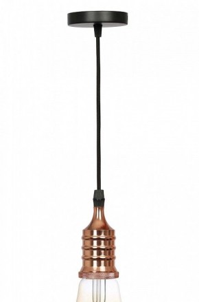 Подвесной светильник Эра PL13 Б0048525 в Чебаркуле - chebarkul.ok-mebel.com | фото 3