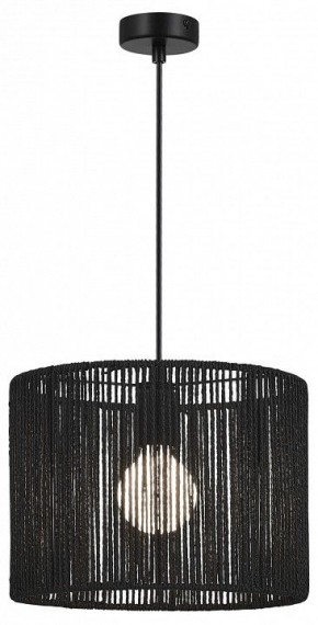 Подвесной светильник EVOLUCE ETTAN SLE6024-403-01 в Чебаркуле - chebarkul.ok-mebel.com | фото 2