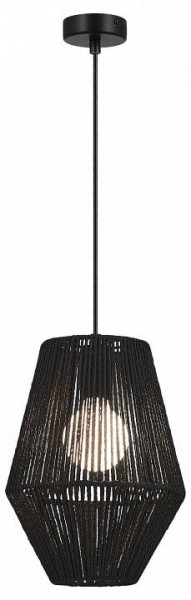 Подвесной светильник EVOLUCE ETTAN SLE6025-413-01 в Чебаркуле - chebarkul.ok-mebel.com | фото 2