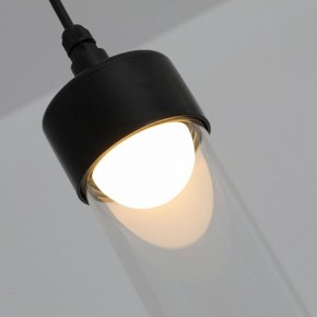 Подвесной светильник Favourite Outdoor 4702-1P в Чебаркуле - chebarkul.ok-mebel.com | фото 7