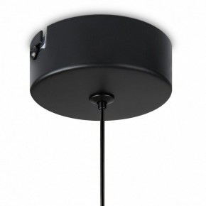 Подвесной светильник Freya Idol FR6134PL-L4SM в Чебаркуле - chebarkul.ok-mebel.com | фото 8
