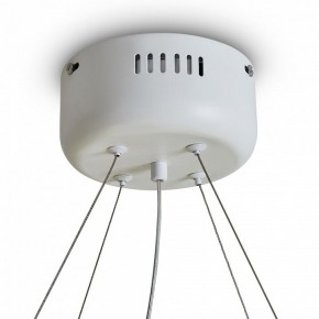Подвесной светильник Freya Rain FR5546PL-L60W в Чебаркуле - chebarkul.ok-mebel.com | фото 9