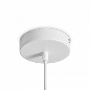 Подвесной светильник Freya Shapes FR5530PL-L10W в Чебаркуле - chebarkul.ok-mebel.com | фото 5