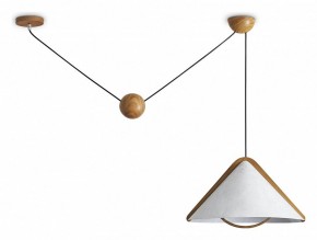 Подвесной светильник Freya Umbra FR5554CL-01T в Чебаркуле - chebarkul.ok-mebel.com | фото