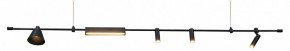 Подвесной светильник Kink Light Ристо 07616-180L,19 в Чебаркуле - chebarkul.ok-mebel.com | фото