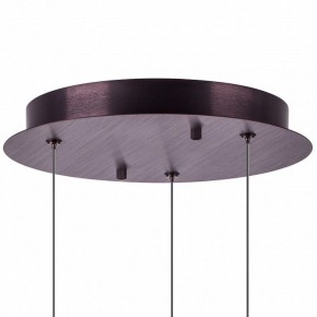 Подвесной светильник Lightstar Caramello 796139 в Чебаркуле - chebarkul.ok-mebel.com | фото 13