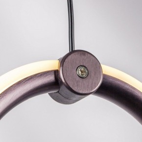 Подвесной светильник Lightstar Caramello 796289 в Чебаркуле - chebarkul.ok-mebel.com | фото 10