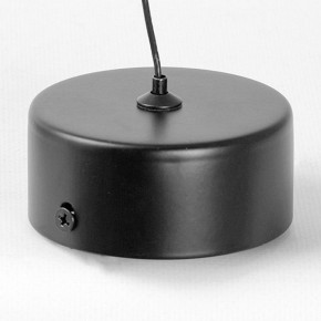 Подвесной светильник Lussole Blount LSP-7356 в Чебаркуле - chebarkul.ok-mebel.com | фото 6