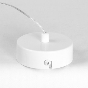 Подвесной светильник Lussole Gregg LSP-8965 в Чебаркуле - chebarkul.ok-mebel.com | фото 6