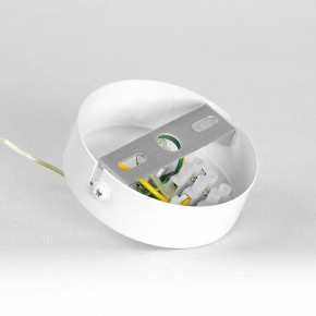Подвесной светильник Lussole Gregg LSP-8965 в Чебаркуле - chebarkul.ok-mebel.com | фото 7