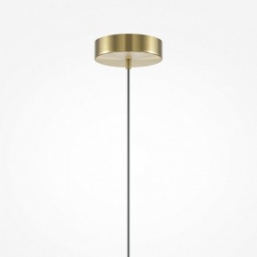 Подвесной светильник Maytoni Brosche MOD362PL-L10BG3K в Чебаркуле - chebarkul.ok-mebel.com | фото 5